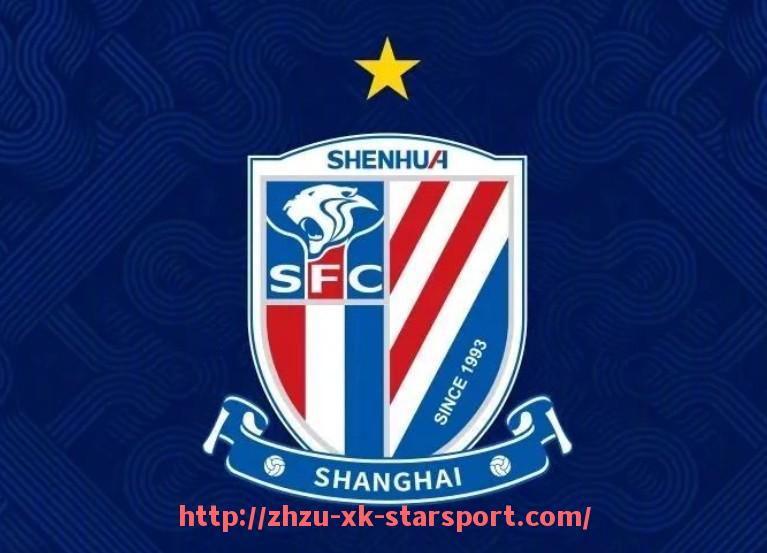 星空体育-世俱杯接待挑战下主办城市老年人友好型服务体系评估